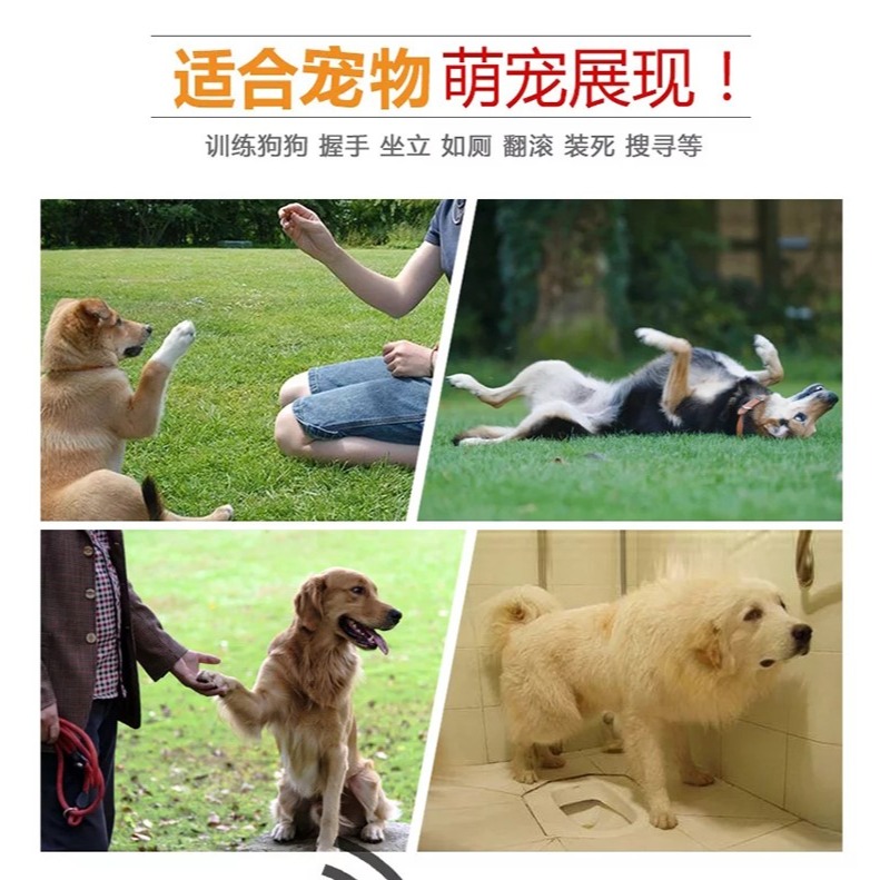 訓犬訓犬用品裝備馬犬訓練用品狗狗玩具球大型犬飛盤拉環響片-細節圖10