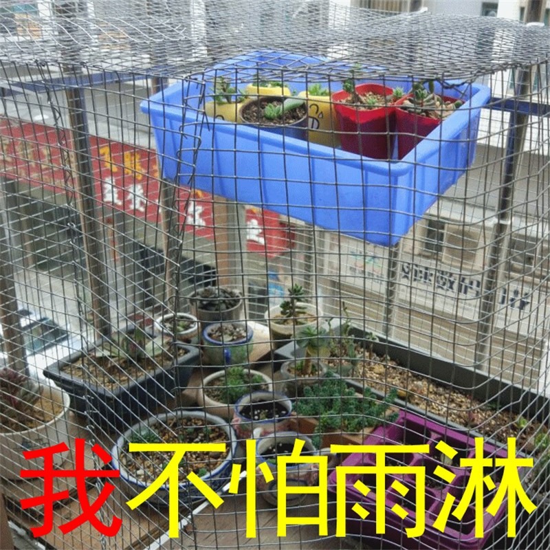 鐵絲網圍欄養殖鋼絲防護防鼠網片網格小格加密小孔電焊網鐵網戶外-細節圖4