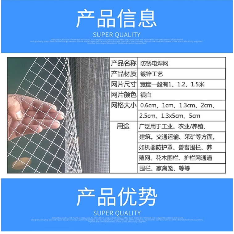 鐵絲網圍欄養殖鋼絲防護防鼠網片網格小格加密小孔電焊網鐵網戶外-細節圖9