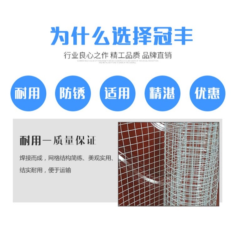 鐵絲網圍欄養殖鋼絲防護防鼠網片網格小格加密小孔電焊網鐵網戶外-細節圖10