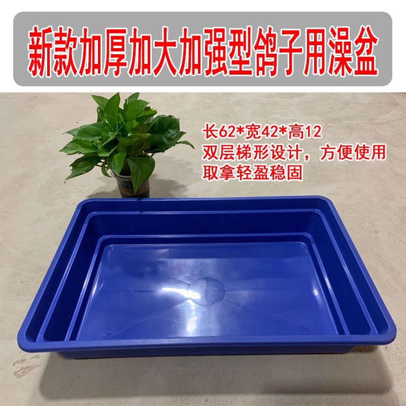 賽鴿信鴿專用大號澡盆 鴿子洗澡盆浴盆鴿子用品用具鴿具棲架站架-細節圖3