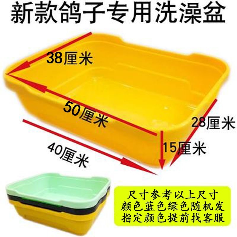 賽鴿信鴿專用大號澡盆 鴿子洗澡盆浴盆鴿子用品用具鴿具棲架站架-細節圖7