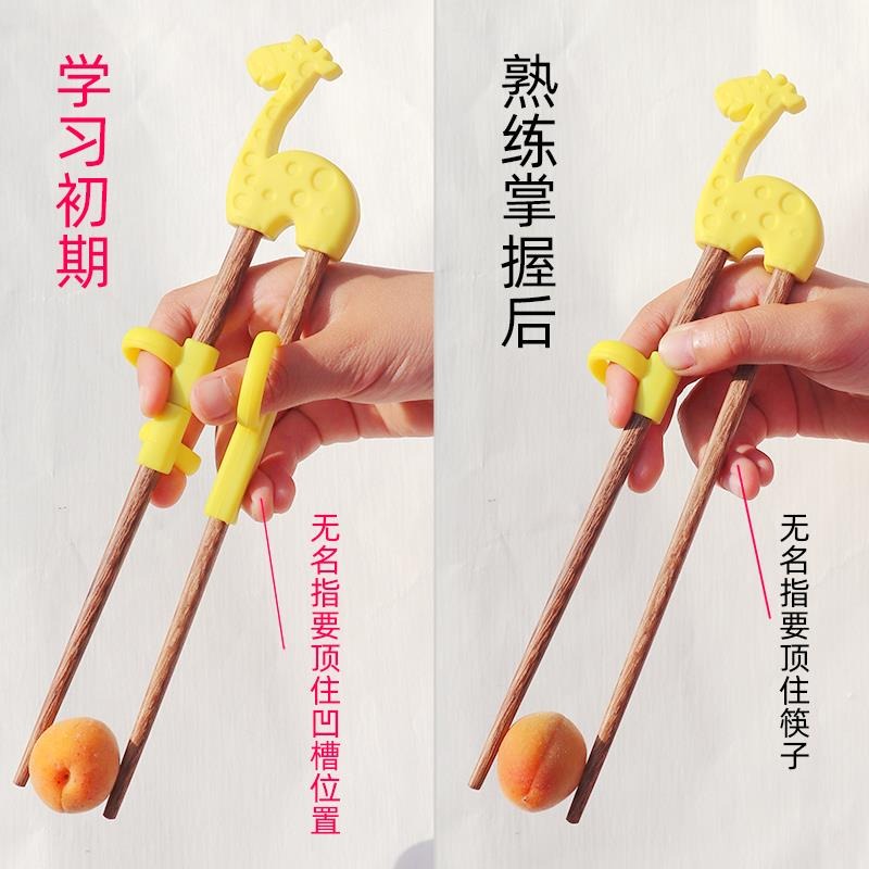 大兒童專用實木學習筷子矯正器 筷子輔助器訓練筷子指環套5-6-9歲-細節圖3