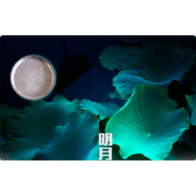 見素香坊 純銀隔片 空燻用具明月蓮花荷葉三款香道用品包郵M106-細節圖10