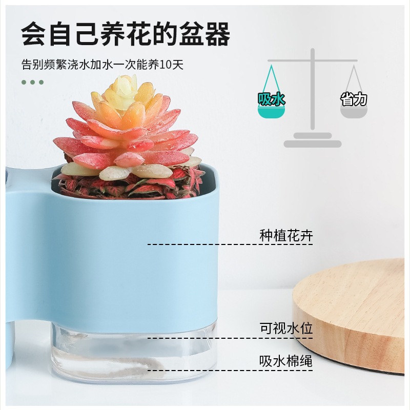 盆栽桶桌面化妝品整理盒辦公文具學生桌面筆桶分格收納盒-細節圖3