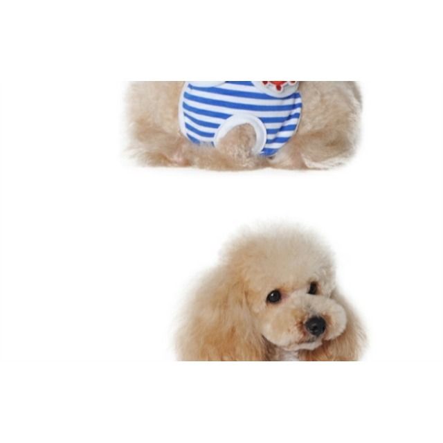 小狗避孕安全褲狗生理夏季雪納瑞透氣款狗內褲尿布褲-細節圖9