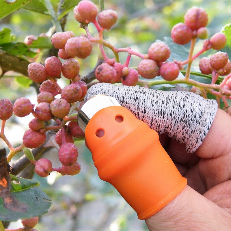 拇指刀摘菜專用花椒採摘器摘果器採摘指甲手套掐尖神器摘辣椒神器-細節圖2