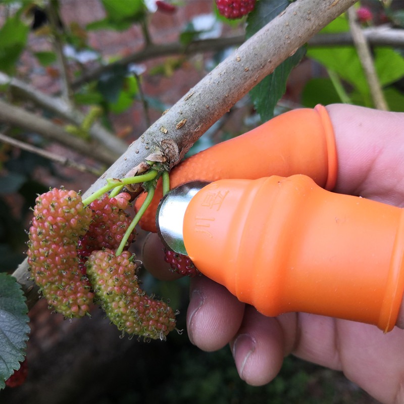 拇指刀摘菜專用花椒採摘器摘果器採摘指甲手套掐尖神器摘辣椒神器-細節圖3