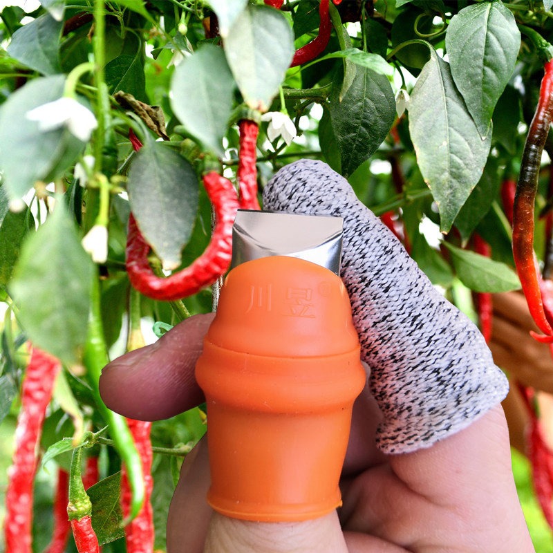 拇指刀摘菜專用花椒採摘器摘果器採摘指甲手套掐尖神器摘辣椒神器-細節圖4