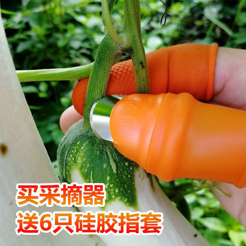 摘花椒的神器豆角鐵指甲套摘菜神器採摘器拇指刀摘花椒的專用工具-細節圖2
