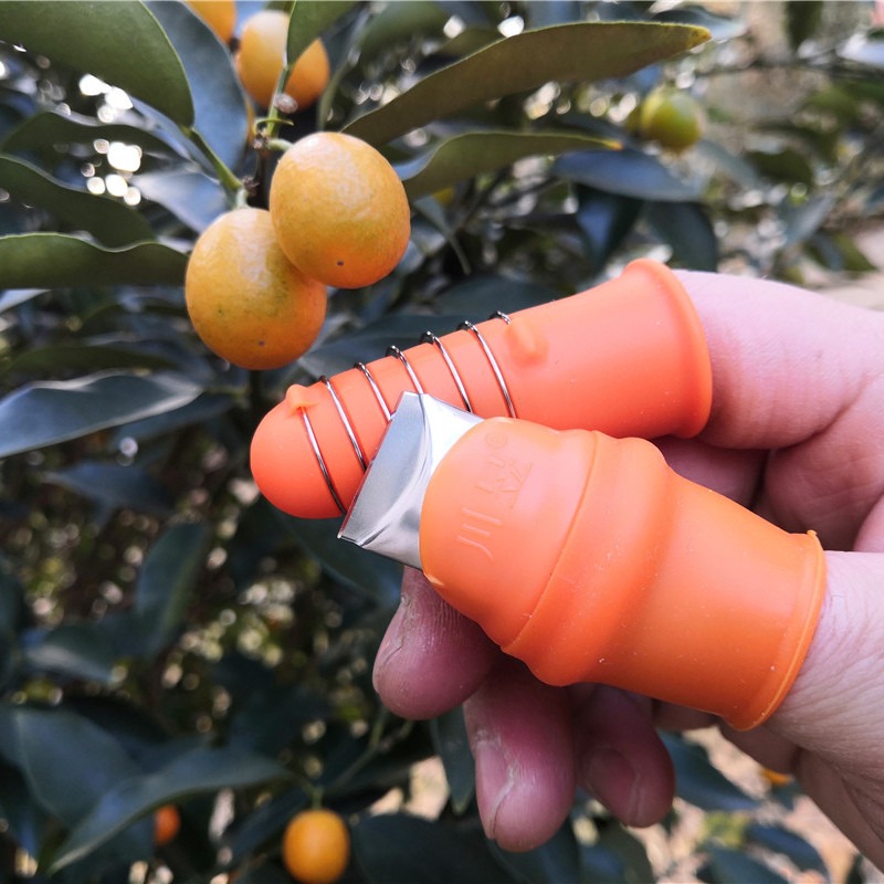 摘花椒的神器豆角鐵指甲套摘菜神器採摘器拇指刀摘花椒的專用工具-細節圖3