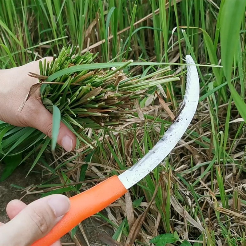 割韭菜專用刀信得利鐮刀割草刀鋸齒鐮刀農用全鋼割韭菜專用小鐮刀-細節圖4