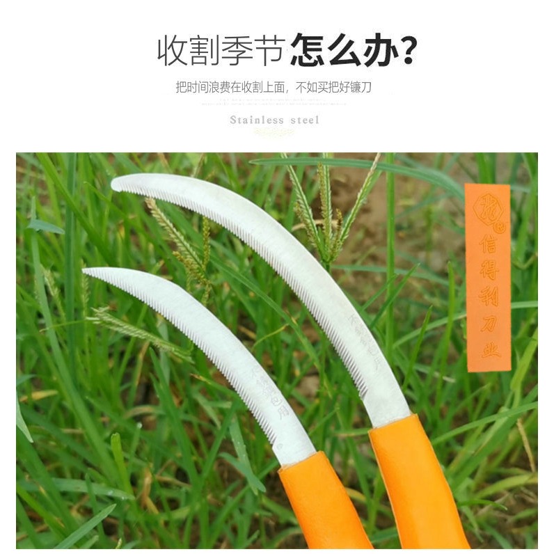 割韭菜專用刀信得利鐮刀割草刀鋸齒鐮刀農用全鋼割韭菜專用小鐮刀-細節圖9