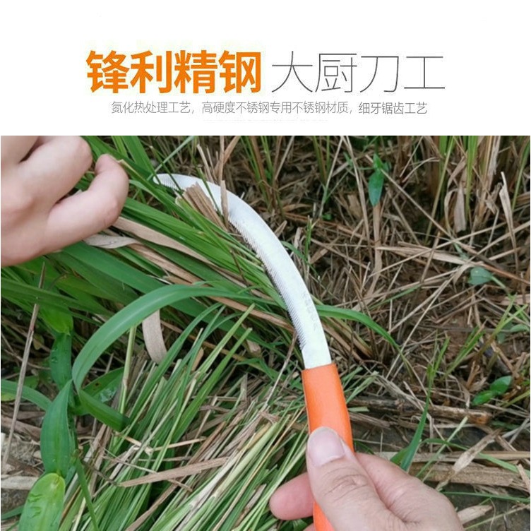 割韭菜專用刀信得利鐮刀割草刀鋸齒鐮刀農用全鋼割韭菜專用小鐮刀-細節圖10