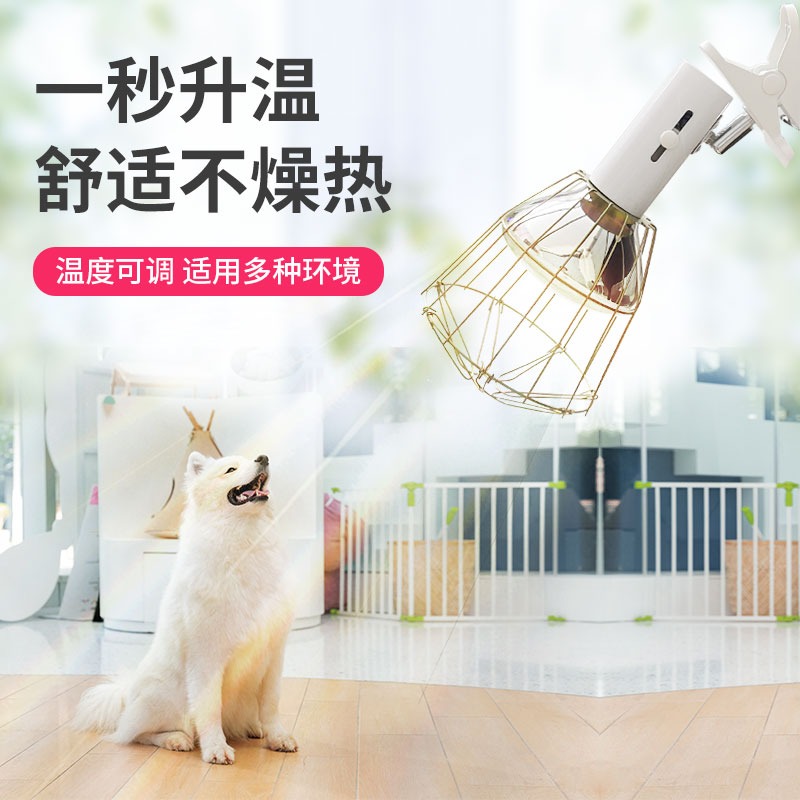 寵物保溫燈加溫發熱保暖箱貓窩加熱墊爬寵寄居蟹貓咪貓取暖器暖燈-細節圖2