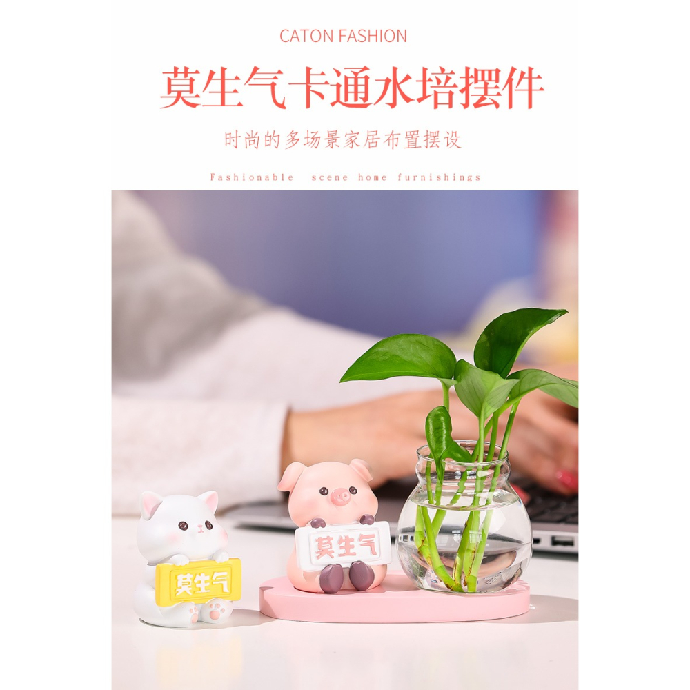 水培花盆器皿花瓶透明玻璃客廳辦公桌桌面工位裝飾品莫生氣小擺件-細節圖6