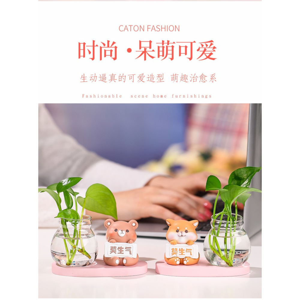 水培花盆器皿花瓶透明玻璃客廳辦公桌桌面工位裝飾品莫生氣小擺件-細節圖7