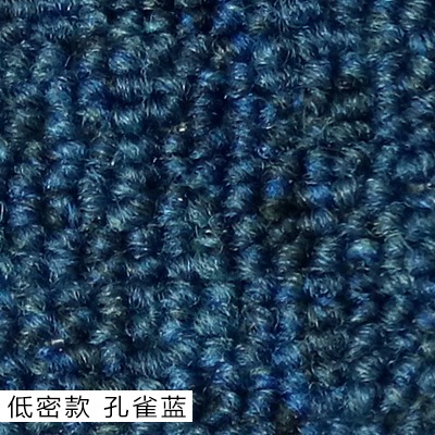 辦公室地毯純色大面積商用酒店大廳整塊全屋定製家用滿鋪阻燃防火-細節圖9