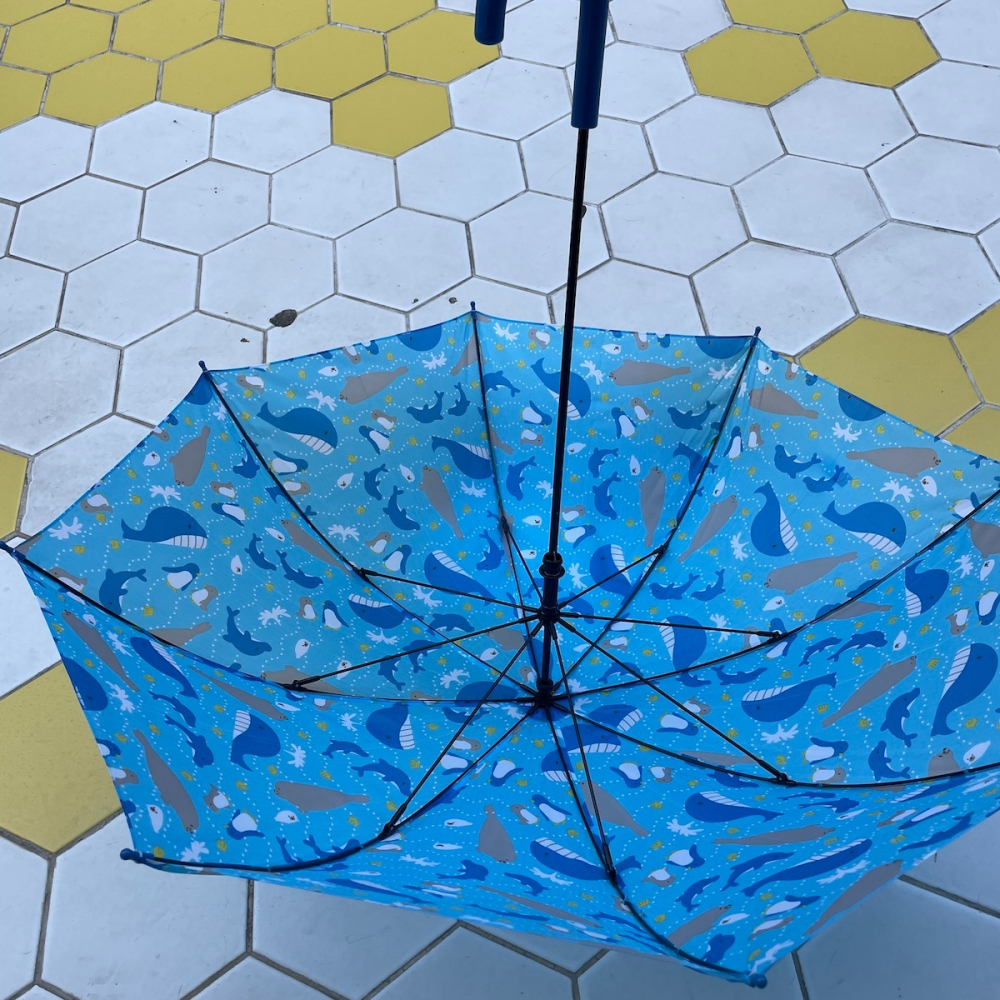 大童男孩子學生用安全防夾手手開鯨魚海豹企鵝卡通圖案藍色雨傘-細節圖2