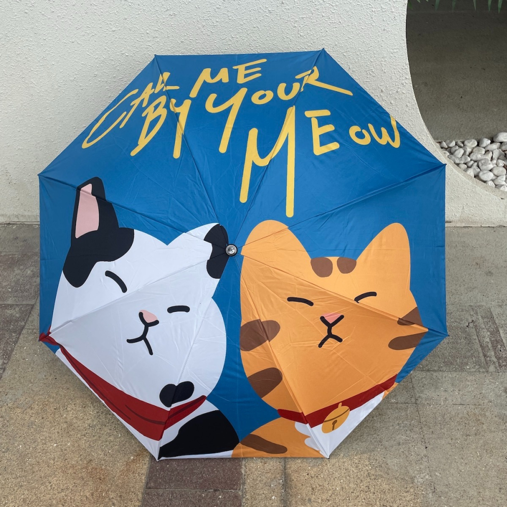新上市爆品~夏日慵懶的貓森系棕色小浣熊可愛漫畫女生黑膠晴雨傘-細節圖6
