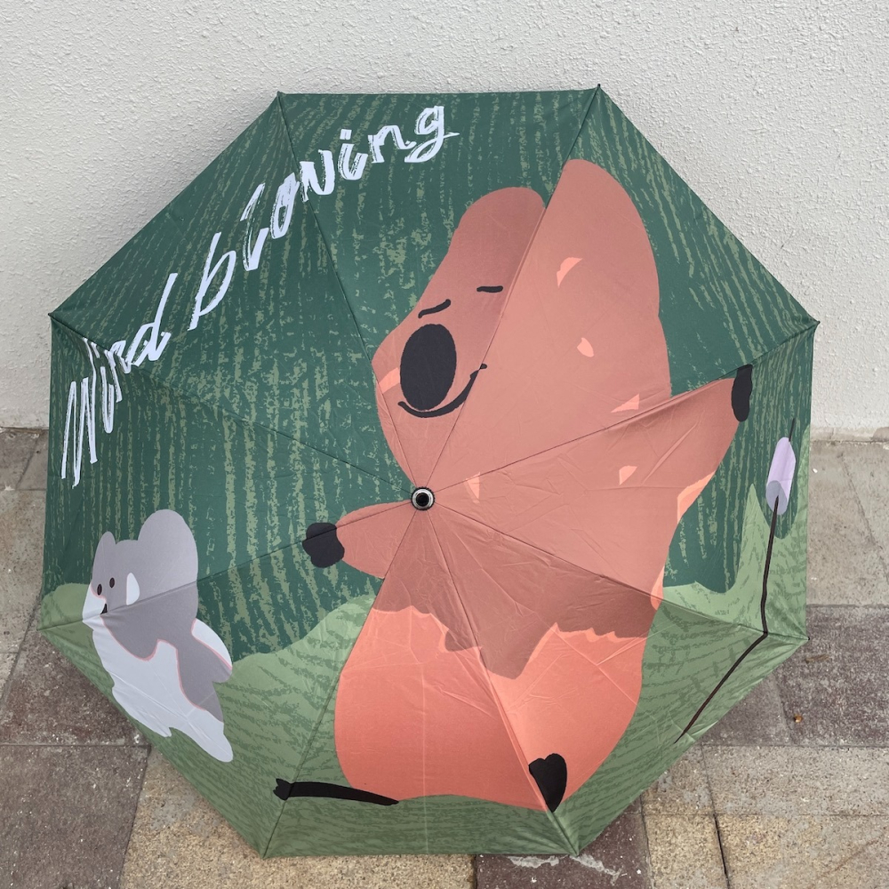 新上市爆品~夏日慵懶的貓森系棕色小浣熊可愛漫畫女生黑膠晴雨傘-細節圖7