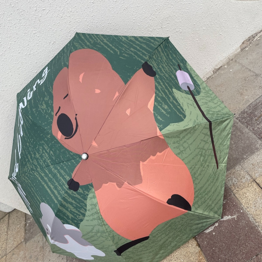 新上市爆品~夏日慵懶的貓森系棕色小浣熊可愛漫畫女生黑膠晴雨傘-細節圖10
