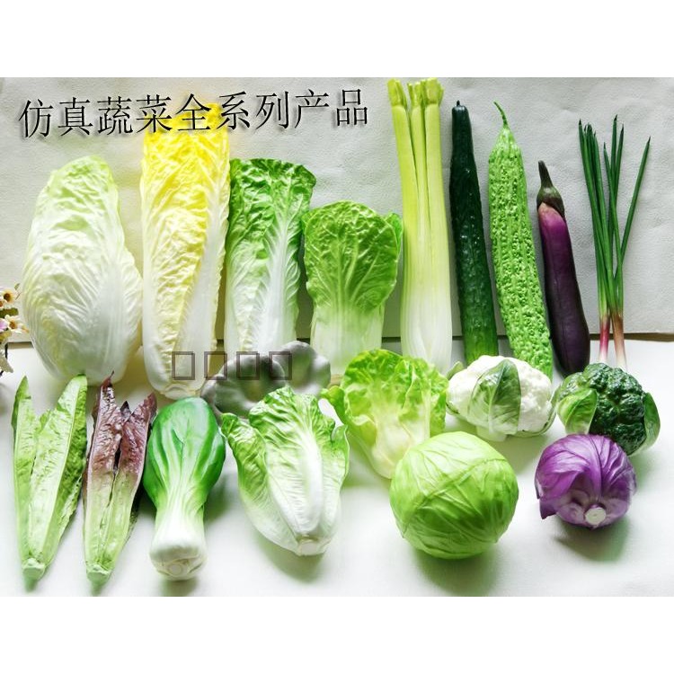 仿真大白菜蔬菜模型玩具假生菜絲黃苦青瓜西蘭花包菜蘑菇裝飾道具-細節圖2