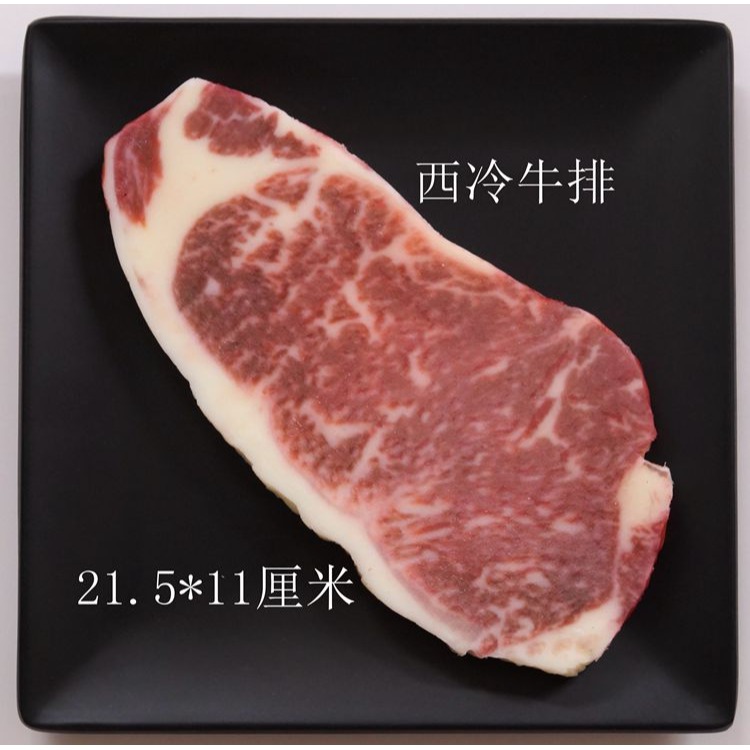 生肉仿真生牛肉牛扒排豬肉模型生鮮肉類道具櫥窗展示羊肉卷三文魚-細節圖6