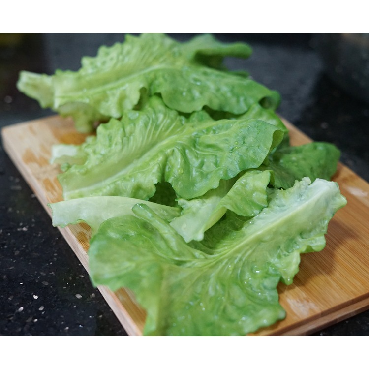 新品仿真火鍋配料食物道具裝飾模型假香蘑菇秋葵肥牛羊肉卷丸蔬菜-細節圖5