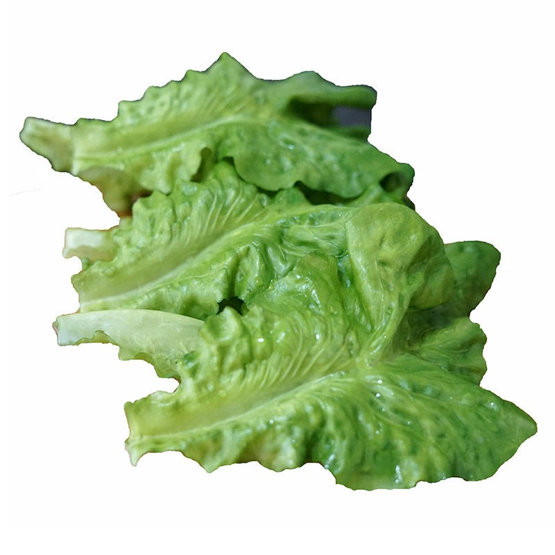 仿真油炸小串 燒烤串串模型 假食物燒烤串道具 鴨腸 鮮肉 羊肉串-細節圖5