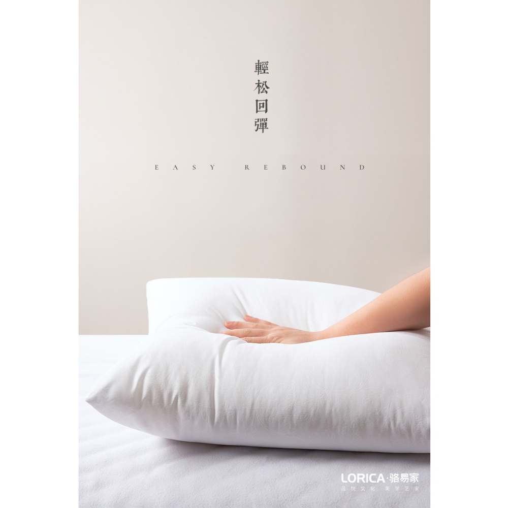羽絲絨抱枕芯內膽沙發靠枕靠墊芯45 50 60方枕芯正方形靠背枕芯子-細節圖8