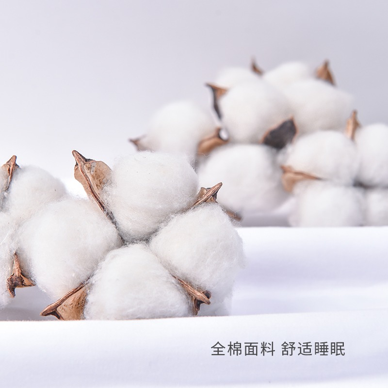 駱易家軟枕頭護頸椎助睡眠專用五星級酒店夏季家用全棉枕芯一對裝-細節圖5