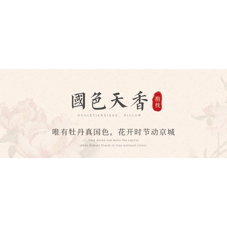 新中式抱枕靠墊中國風靠背墊高檔紅木沙發客廳靠枕套不含芯大靠背-細節圖6