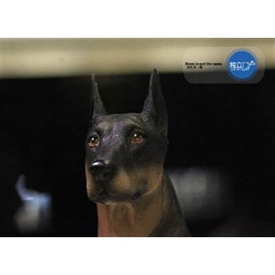仿真動物設計杜賓獵犬帶底座裝飾品工藝品-細節圖3