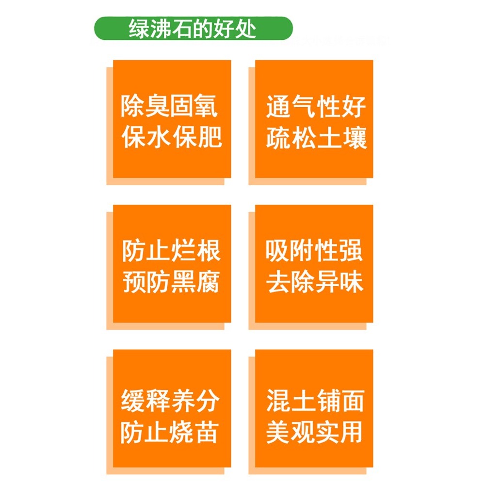 綠沸石顆粒包郵多肉土專用營養土多肉石頭鋪面透氣通用多肉顆粒土-細節圖3
