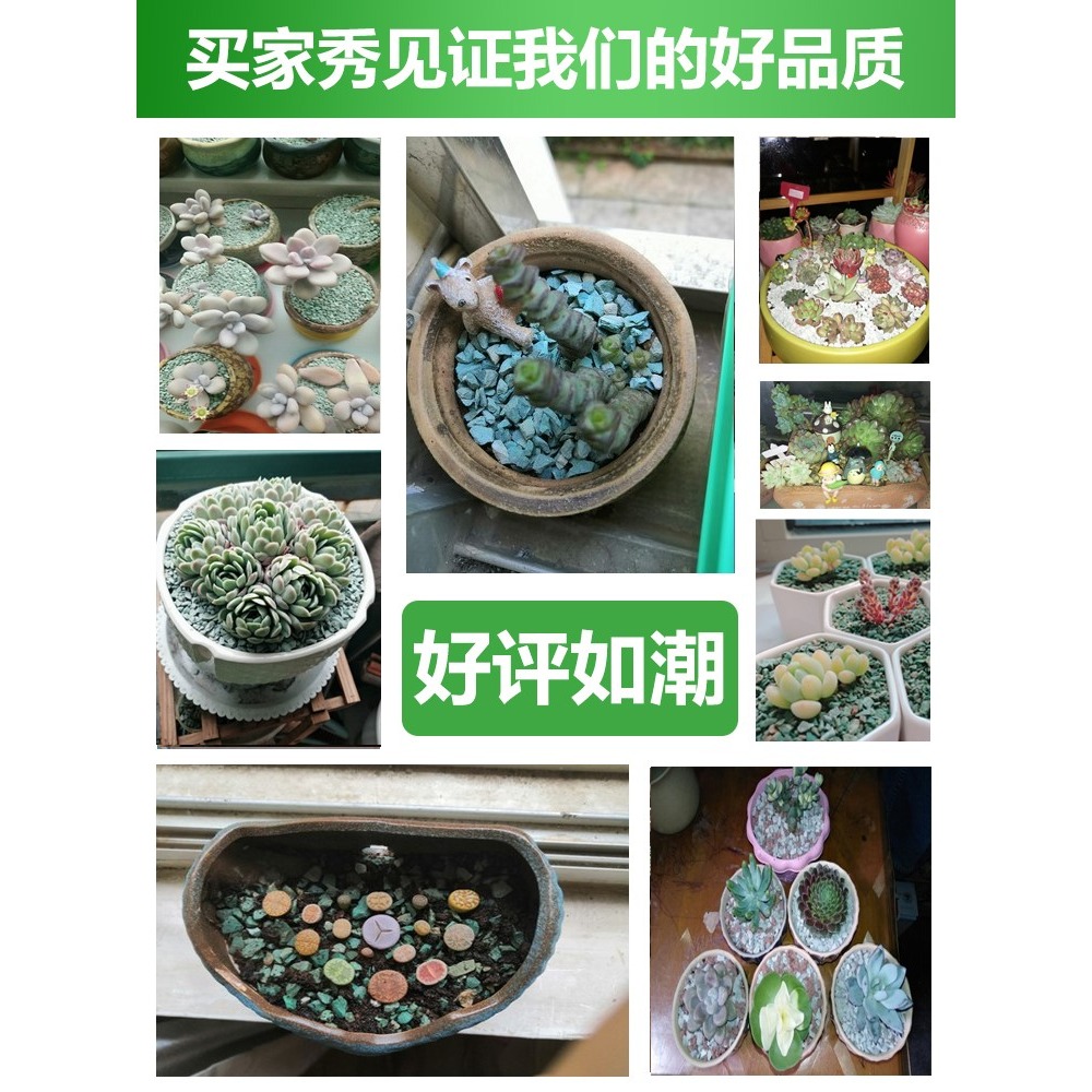綠沸石顆粒包郵多肉土專用營養土多肉石頭鋪面透氣通用多肉顆粒土-細節圖4