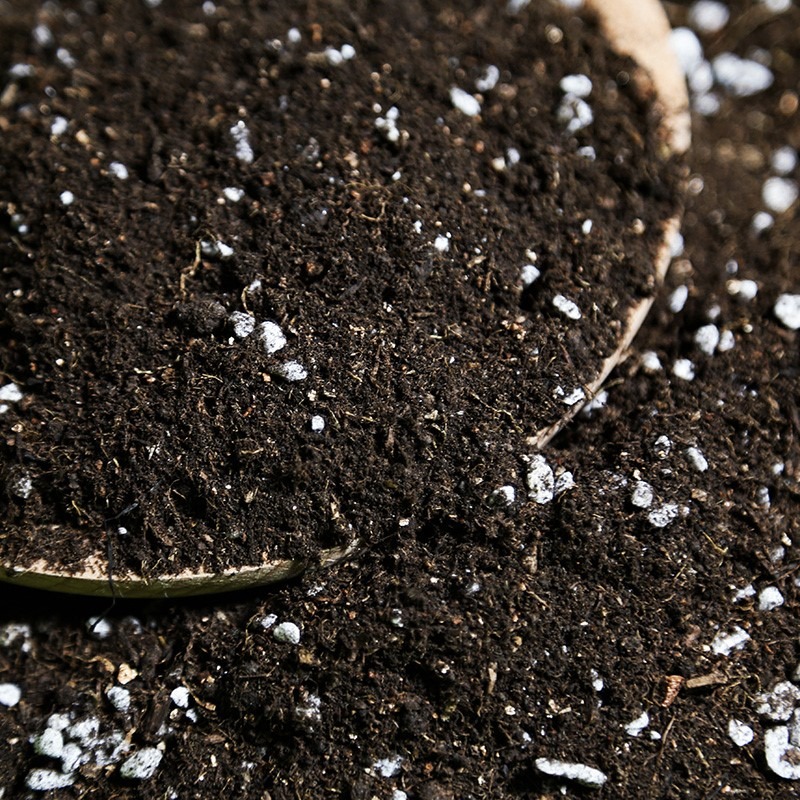 多肉營養土種菜蔬菜通用型種植花土壤盆栽種花泥土家用珍珠巖韭菜-細節圖5
