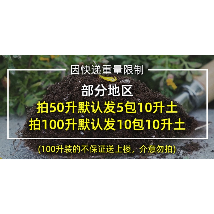 多肉營養土種菜蔬菜通用型種植花土壤盆栽種花泥土家用珍珠巖韭菜-細節圖6