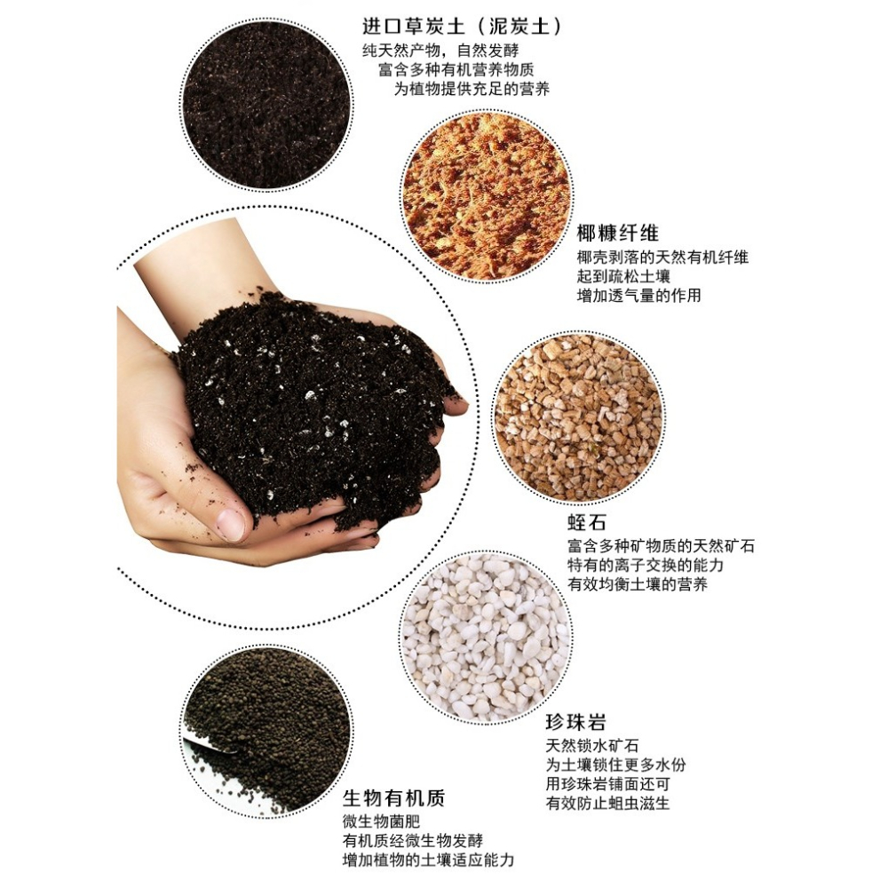 多肉營養土種菜蔬菜通用型種植花土壤盆栽種花泥土家用珍珠巖韭菜-細節圖10