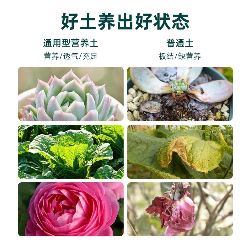 營養土種菜專用黑土壤養花土通用型多肉盆栽家用種植蔬菜泥炭種花-細節圖5