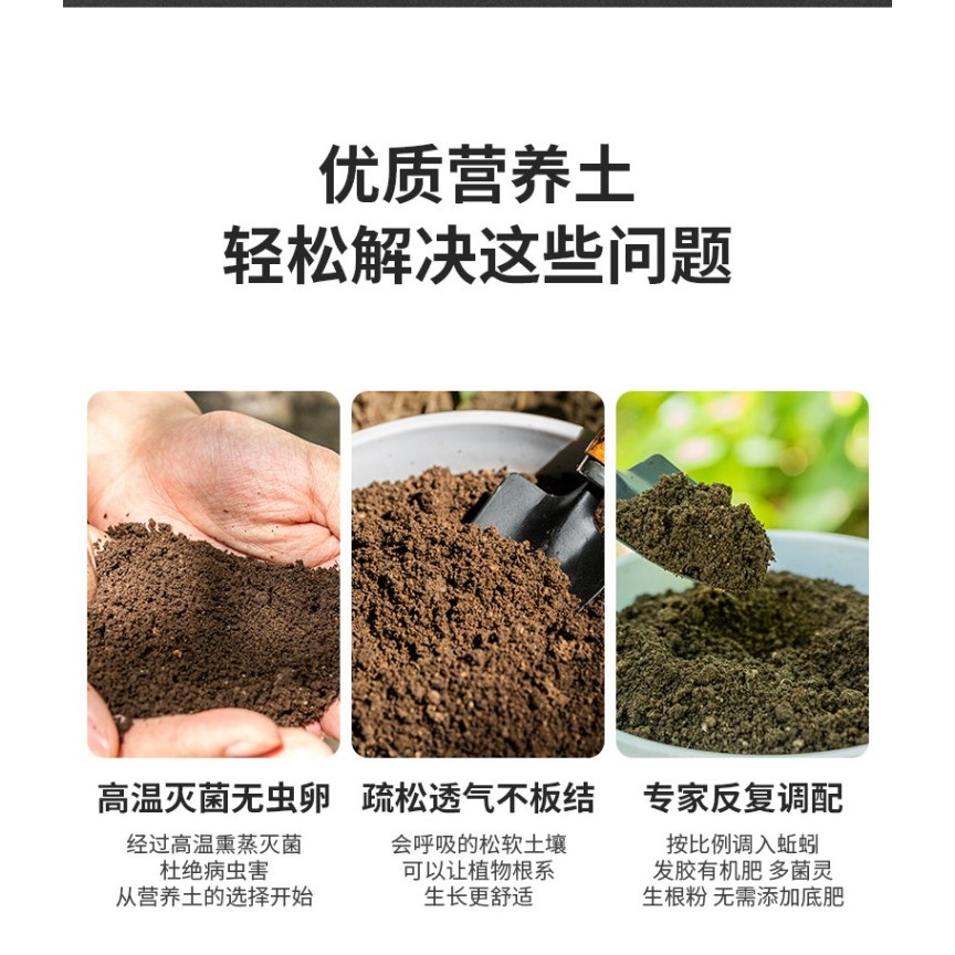 營養土種菜專用黑土壤養花土通用型多肉盆栽家用種植蔬菜泥炭種花-細節圖8