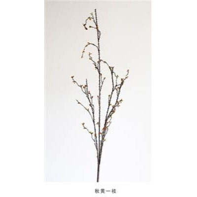 荊棘刺枝精緻仿真植物樹枝插花裝飾高檔另類個性1枝入-細節圖2