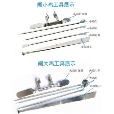 閹雞器不銹鋼版手工全套裝-細節圖2