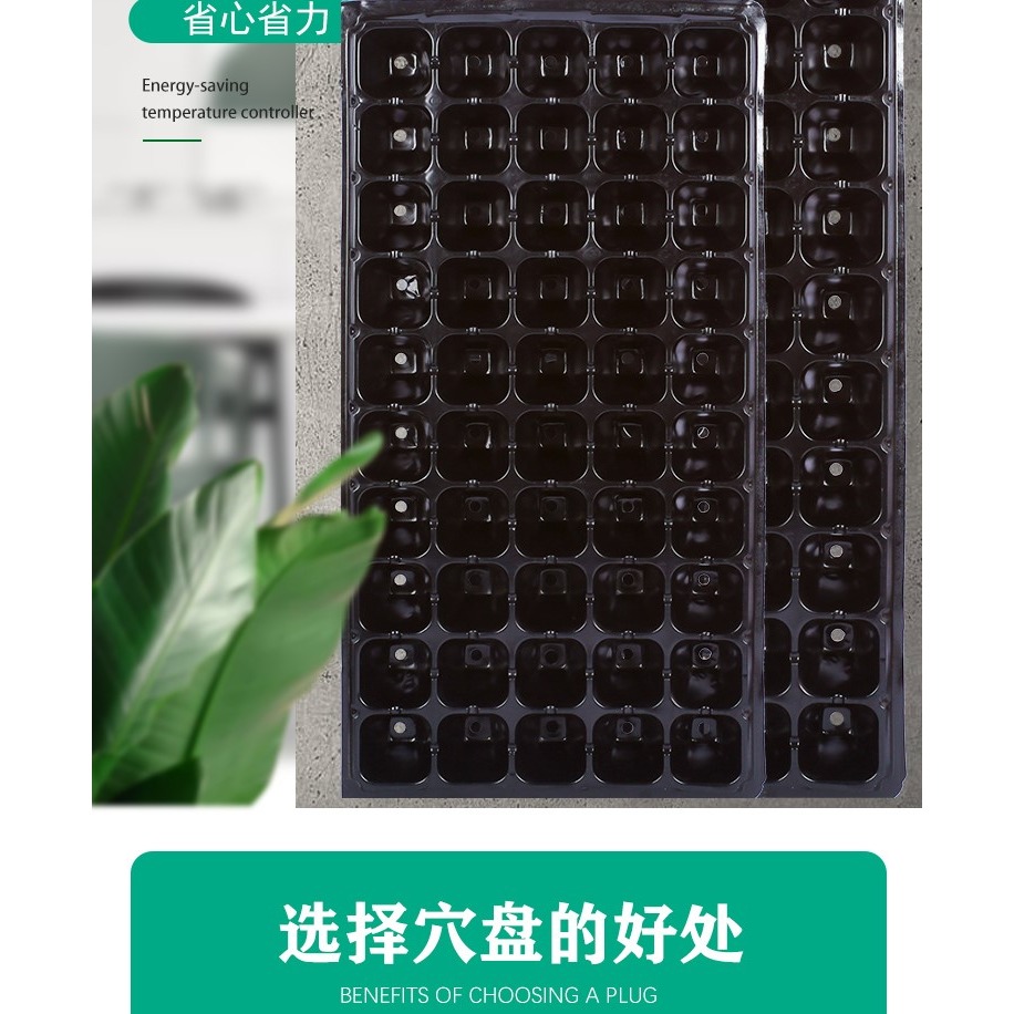 穴盤育苗盒育苗盆苗木多肉育苗盆託盤塑料育苗盤加厚花盆芽菜盤箱-細節圖10