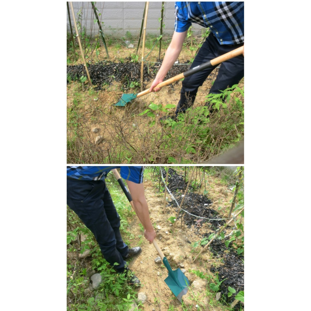 潘易園林鐵鍬平頭鍬農用鬆土圓鍬寬鍬農用工具尖頭鋼鍬鏟鐵鍬包郵-細節圖6
