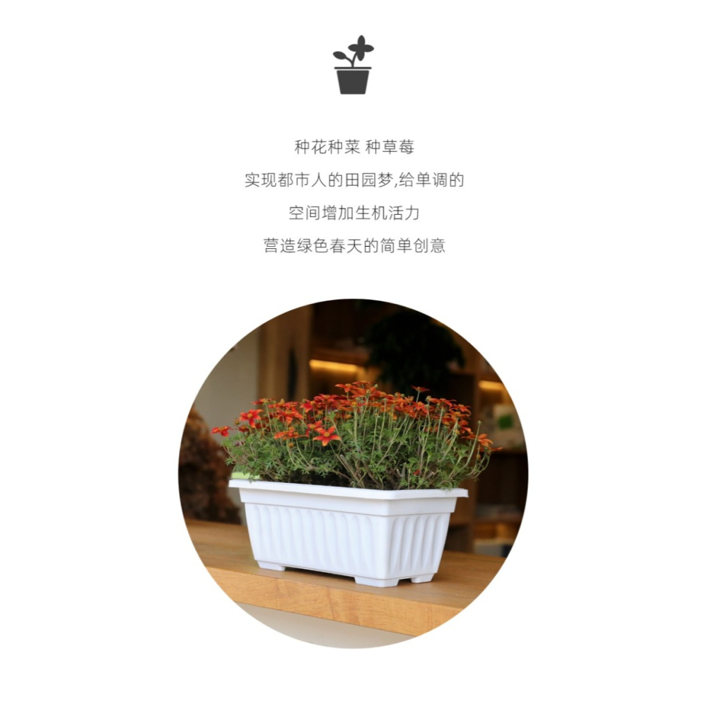 長方形種菜盆陽臺塑料蔬菜種植箱特大號家庭養花種菜神器清倉-細節圖7