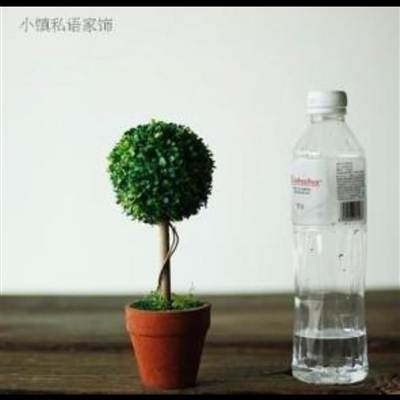 家居飾品時尚創意擺設工藝品店面櫥窗裝飾仿真綠植盆栽植物假花-細節圖3