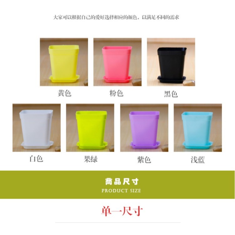 全新pp樹脂花盆 彩色迷你小方盆育苗盆 多肉花盆 P85-細節圖7