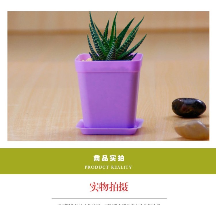 全新pp樹脂花盆 彩色迷你小方盆育苗盆 多肉花盆 P85-細節圖10
