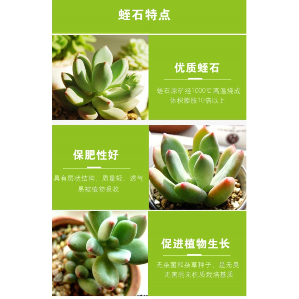 蛭石花用扦插盆栽拌土發根花用育苗營養土至石烏龜蛋孵化-細節圖7